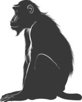 silhouette mandrill animal noir Couleur seulement vecteur