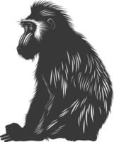 silhouette mandrill animal noir Couleur seulement vecteur