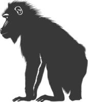 silhouette mandrill animal noir Couleur seulement vecteur