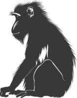 silhouette mandrill animal noir Couleur seulement vecteur