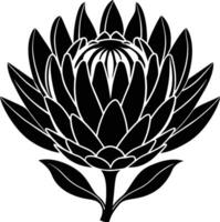 Roi protea fleur silhouette illustration vecteur