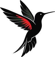 colibri silhouette illustration conception vecteur
