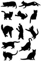 chat chaton minou félin animal de compagnie silhouette ensemble vecteur