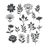 plat conception fleur silhouettes et feuilles floral élément conception modèle illustration vecteur