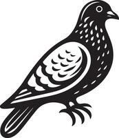 Pigeon silhouette illustration. vecteur