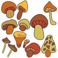 ensemble de mignons doodles champignons, éléments de la nature marron et orange, illustration vectorielle à la main vecteur