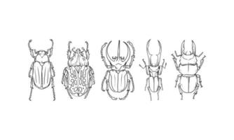 ensemble de vecteur de croquis dessinés à la main de coléoptères, illustration de différents coléoptères sur fond isolé.