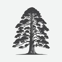 impression majestueux silhouette de le séquoia arbre, une intemporel icône de la nature grandeur vecteur