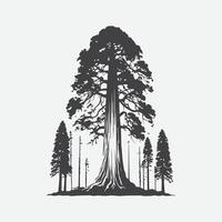 impression majestueux silhouette de le séquoia arbre, une intemporel icône de la nature grandeur vecteur