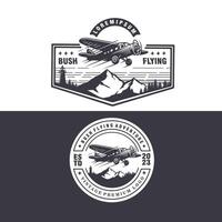 ensemble de avion air Obliger buisson en volant aviation avion ancien badges logo conception graphique illustration vecteur