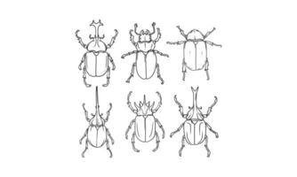 ensemble de vecteur de croquis dessinés à la main de coléoptères, illustration de différents coléoptères sur fond isolé.