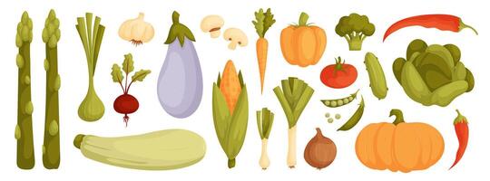 dessin animé des légumes collection. coloré et détaillé des illustrations de Frais des légumes comprenant asperges, aubergine, maïs, et plus. parfait pour en bonne santé en mangeant promotions et éducatif matériaux. vecteur