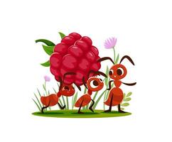 dessin animé fourmis porter une framboise, Stock en haut nourriture vecteur