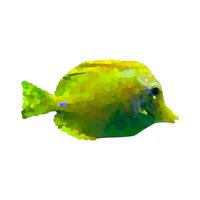 illustration tropical poisson sur blanc Contexte. tropical mer sous-marin aquarium des poissons. Jaune soie vecteur