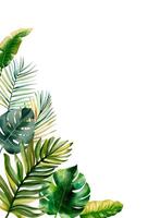 tropical Cadre avec exotique feuilles pour fête faire-part, affiches et mariage cartes. aquarelle modèle vecteur