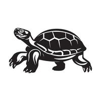 tortue images. illustration de une tortue isolé sur blanc Contexte vecteur