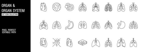 Humain organe anatomie poumon Icônes pour médical et éducatif symbole vecteur