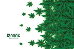 vert cannabis feuilles sur blanc Contexte conception vecteur