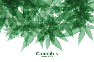 vert cannabis ou marijuana feuilles Contexte conception vecteur