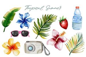 main tiré heure d'été clipart. aquarelle tropical ensemble. exotique fleurs. été éléments. paume feuilles. vecteur