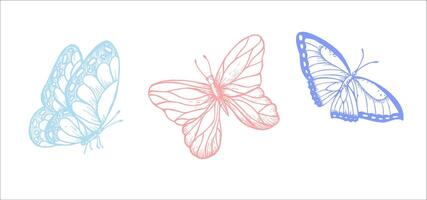 papillons. main peint linéaire insecte. graphique clipart isolé sur Contexte. botanique et mariage illustration. pour concepteurs, faire-part, décoration, cartes postales vecteur