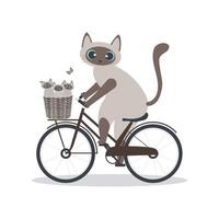 mignonne Siamois mère chat porter sa peu chatons dans une panier sur une vélo isolé sur blanc Contexte pour de la mère journée vacances cartes. vecteur