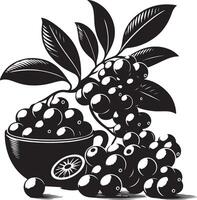 jambolan fruit, noir Couleur silhouette vecteur