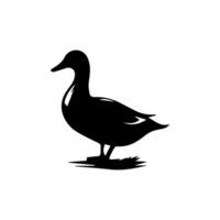 silhouette de sauvage et national canard vecteur