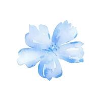 bleu fleur, aquarelle fleur fleurs vecteur