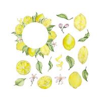 aquarelle citron Cadre ensemble avec fruit, tranche, feuilles et fleurs vecteur
