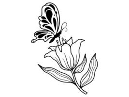 fleur ligne art papillon illustration vecteur