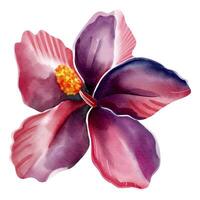 aquarelle tropical fleur. floral illustration. exotique fleur. aquarelle orchidée vecteur