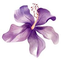 aquarelle tropical fleur. floral illustration. exotique fleur. aquarelle orchidée vecteur