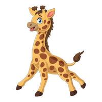 dessin animé girafe isolé sur fond blanc vecteur