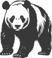 silhouette Panda animal plein corps noir Couleur seulement vecteur