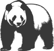 silhouette Panda animal plein corps noir Couleur seulement vecteur