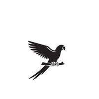 perroquet silhouette sur blanc Contexte. des oiseaux silhouette. perroquet logo, illustration vecteur