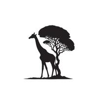 girafe silhouette conception. girafe logo, girafe illustration. vecteur