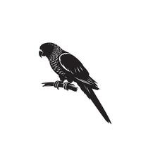 perroquet silhouette sur blanc Contexte. des oiseaux silhouette. perroquet logo, illustration vecteur