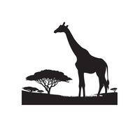 girafe silhouette conception. girafe logo, girafe illustration. vecteur