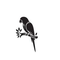 perroquet silhouette sur blanc Contexte. des oiseaux silhouette. perroquet logo, illustration vecteur