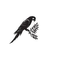 perroquet silhouette sur blanc Contexte. des oiseaux silhouette. perroquet logo, illustration vecteur