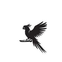 perroquet silhouette sur blanc Contexte. des oiseaux silhouette. perroquet logo, illustration vecteur