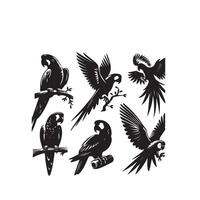 perroquet silhouette sur blanc Contexte. des oiseaux silhouette. perroquet logo, illustration vecteur