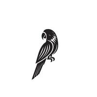 perroquet silhouette sur blanc Contexte. des oiseaux silhouette. perroquet logo, illustration vecteur
