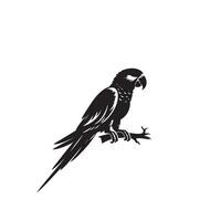 perroquet silhouette sur blanc Contexte. des oiseaux silhouette. perroquet logo, illustration vecteur