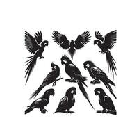 perroquet silhouette sur blanc Contexte. des oiseaux silhouette. perroquet logo, illustration vecteur