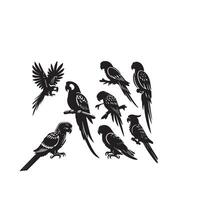 perroquet silhouette sur blanc Contexte. des oiseaux silhouette. perroquet logo, illustration vecteur