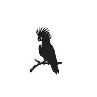 perroquet silhouette sur blanc Contexte. des oiseaux silhouette. perroquet logo, illustration vecteur