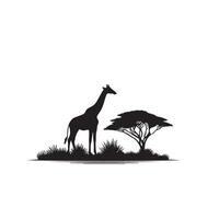 girafe silhouette conception. girafe logo, girafe illustration. vecteur